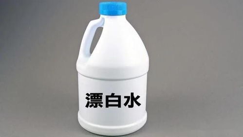 家中有宠物，如何选择环境清洁及消毒用品？这3种消毒用品一定要注意